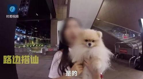 外国渣男爆料视频大全最新,外国渣男爆料视频大全,真实情感陷阱大曝光! 第2张 外国渣男爆料视频大全最新,外国渣男爆料视频大全,真实情感陷阱大曝光! 第2张